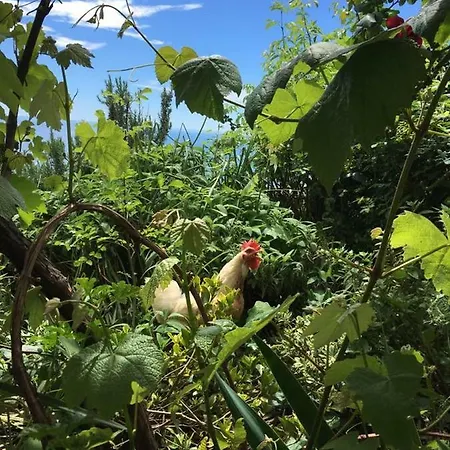 Alojamento de Turismo Rural Agriturismo Fattoria Montecontessa *
